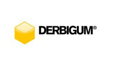 Logo - Debigum Proffesjonell partner